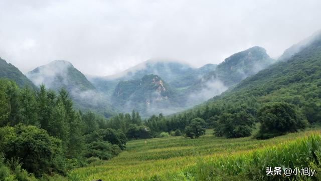 雨后徒步辽阳梨花峪，云雾缭绕｜木栈道、山地草甸、网红秋千