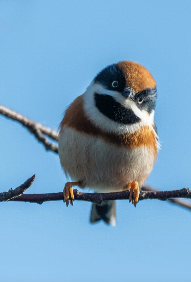 无锡最新追“星”指南，速收藏！