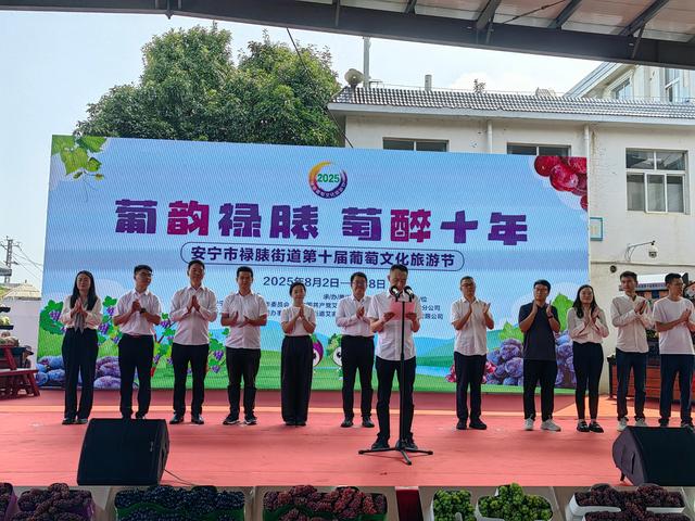 云南安宁市禄脿第十届葡萄文化旅游节开幕