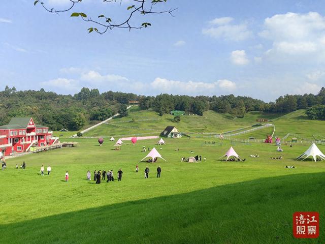 蓝天草地间，风温柔，心自由