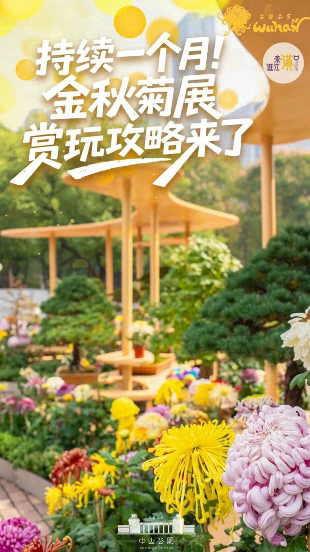 来汉口 逛江汉 | 已开幕，持续一个月！金秋菊展赏玩攻略来了