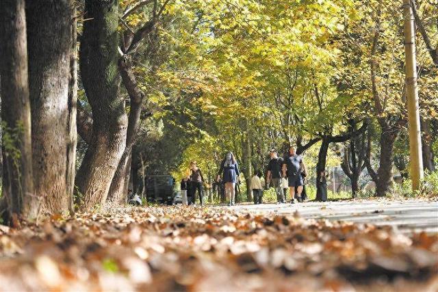 原马龙云水机械厂：工业遗址变“网红”地 “打卡经济”持续升温
