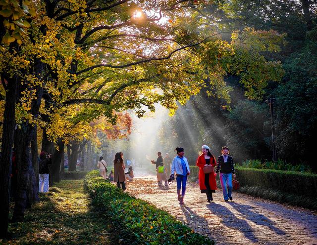 明孝陵清晨现丁达尔绝美景观
