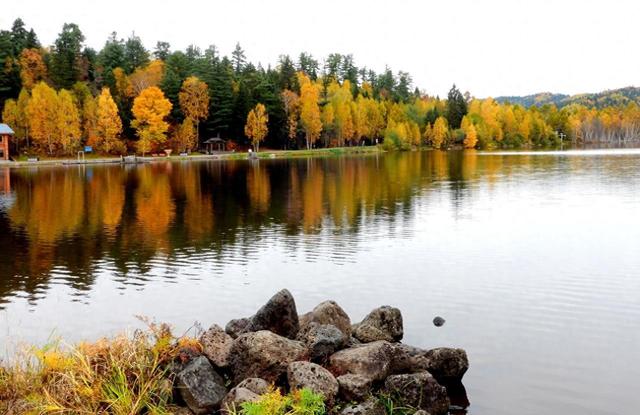 从湖南去了一趟伊春，实话实说，回来才发现朋友圈都是骗人的？