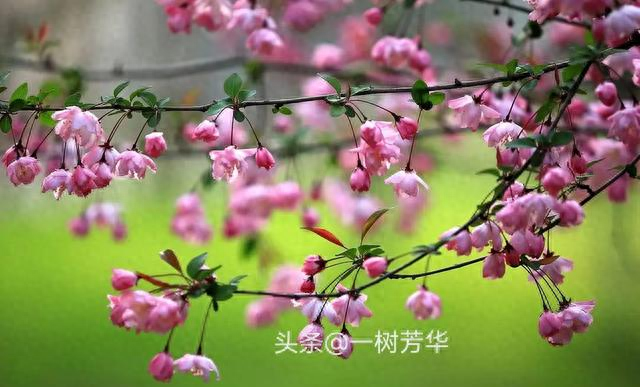 男朋友性欲望很强应该怎么办,天天都要（男人生理性喜欢上一个女人）