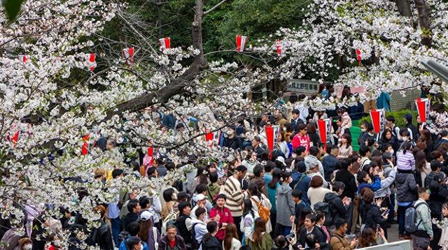 类似欧洲，亚洲面临过度旅游问题