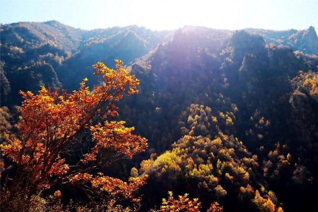 学习强国 | 河北蔚县：山色斑斓别样美