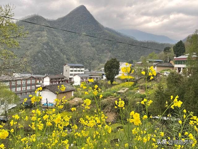 在陇南的夜色里，行走于白龙江畔