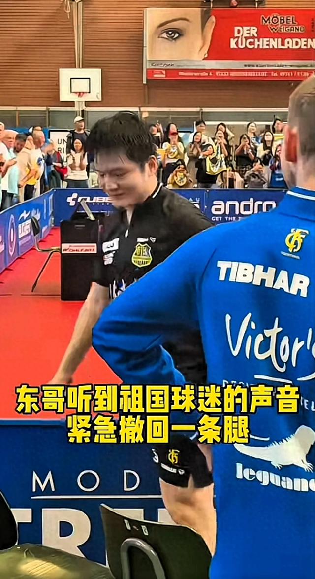 破防！赛后队长弗朗西斯紧抱浑身湿透的樊振东，满是热血与温情