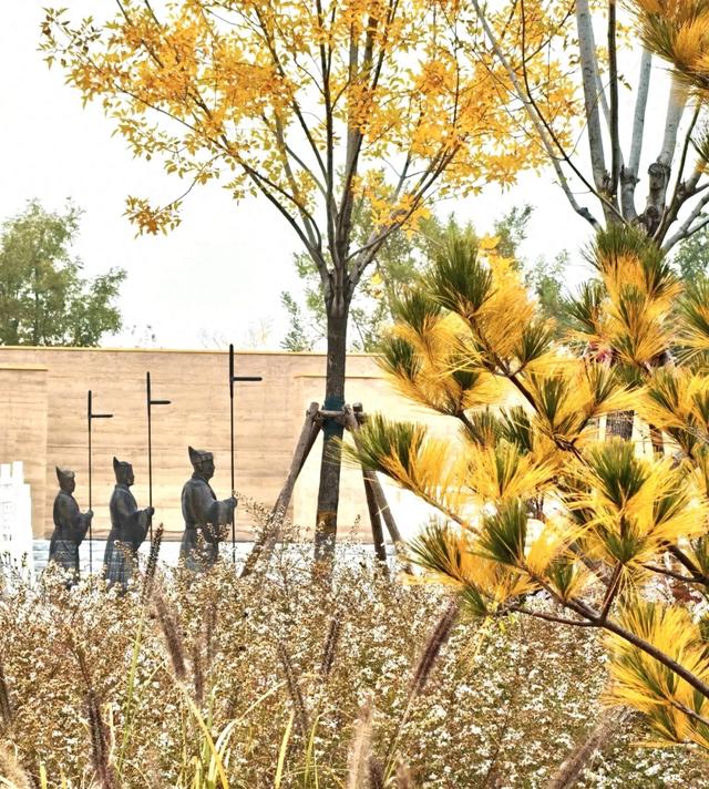 秋景秋色秋意浓，北京城市副中心藏着古今交融的浪漫