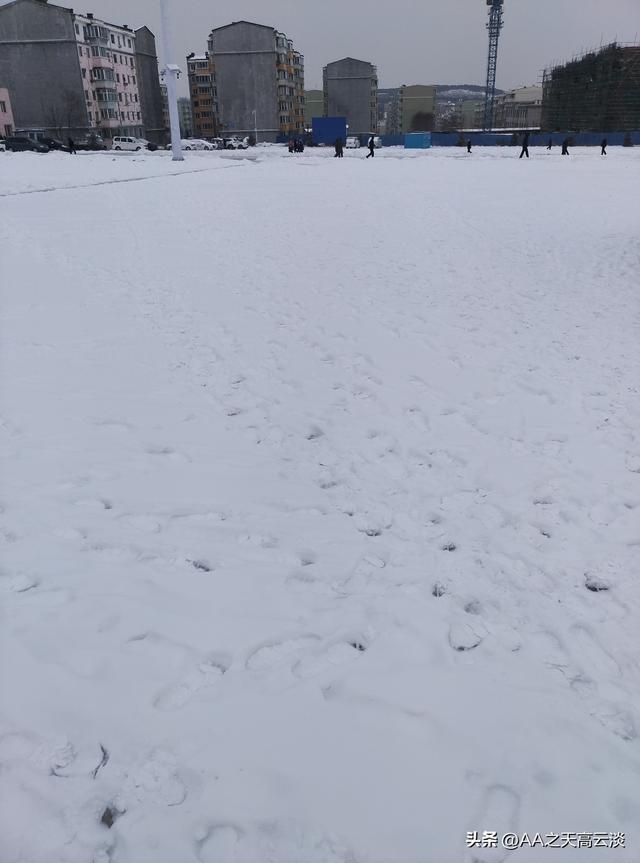 赞冬雪