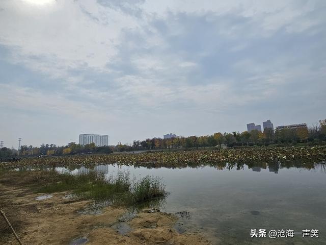 水的世界，云的天空，秋的天地，美的图画，乐的海洋，一起打卡吧