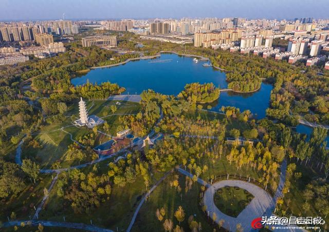 昌吉滨湖河中央公园：邂逅一场秋色绮梦