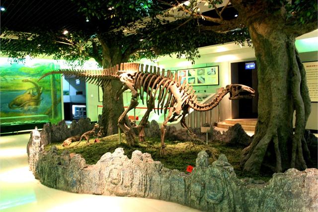 府谷古生物化石博物馆