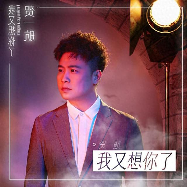 歌曲我又想你了歌词（贺一航我又想你了）