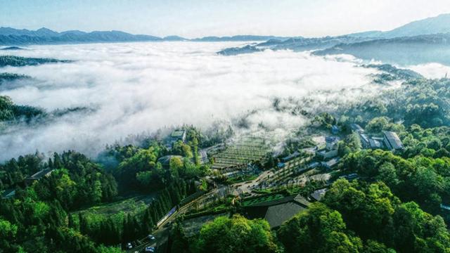天府之肺·熊猫雅安：擘画世界级文旅目的地新蓝图