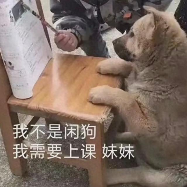 2025年9月27日 第159页