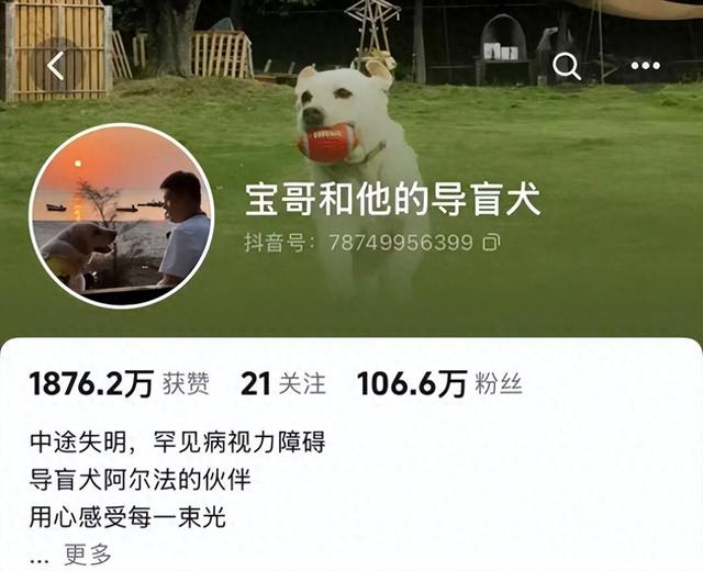 百万粉丝达人宝哥携导盲犬游览鼎湖山，直呼：空气好清新！