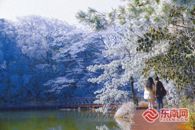 【组图】三明泰宁峨嵋峰现雾凇奇观