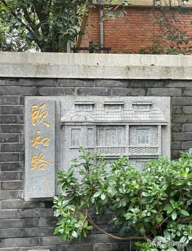 南京“丑萌”梧桐C位出道！颐和路半天游，把民国浪漫拍成表情包