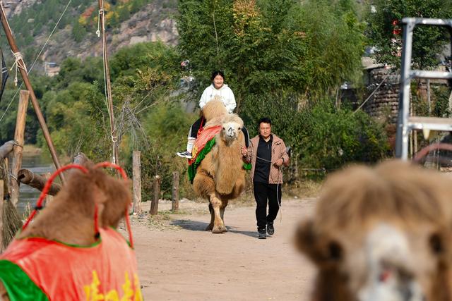 碛口新生 古镇新“味”#