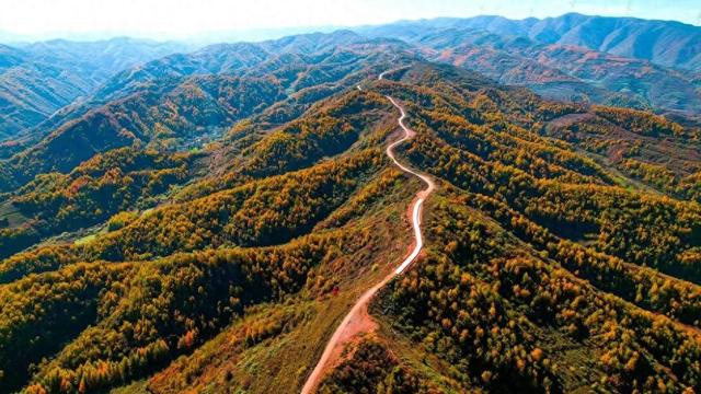 武山：五彩秋日胜春朝
