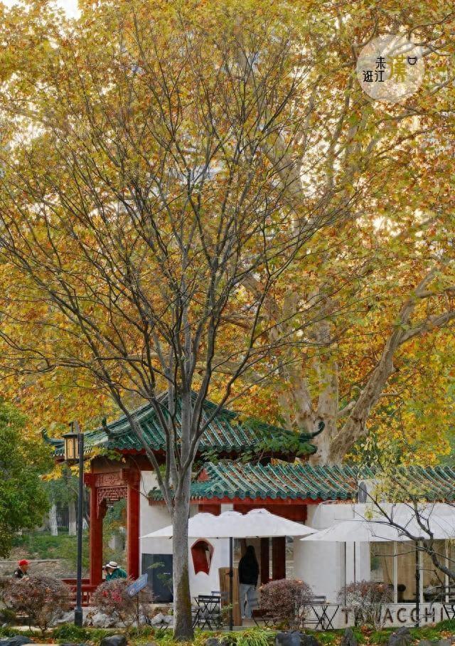 周末N次方|打开这份江汉赏秋图鉴→