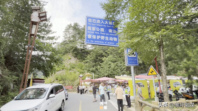 从国宝故乡到研学高地——佛坪县积极构建“旅游+教育+艺术”发展新模式
