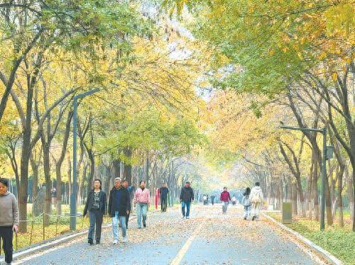 留住城市之美 留住诗意景色