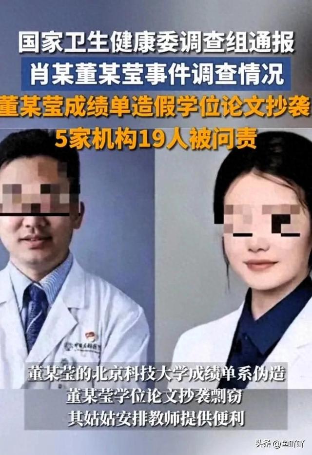 5家机构19人被问责！董某莹成绩单伪造，论文剽窃，均系其姑安排