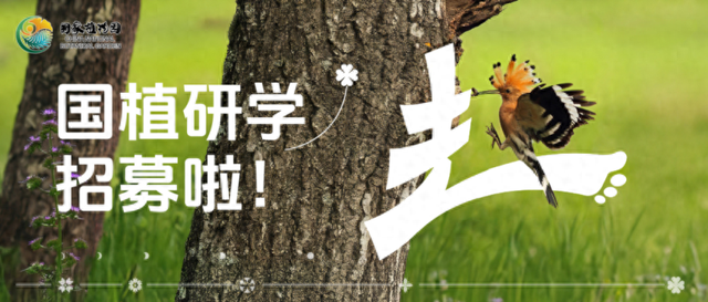 活动招募丨探秘自然！暑期研学三日营活动招募啦！