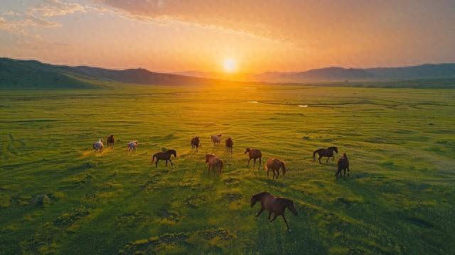 新疆：一个大有作为，大有可为的地方