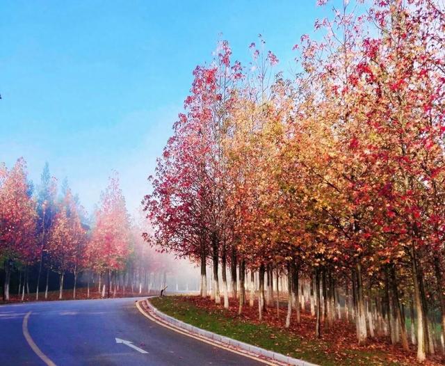 活动上新！昆明这里承包你十二月的所有周末→