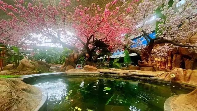 温泉、滑雪、采摘全安排→