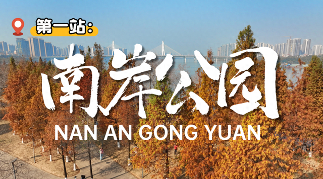 大寒游清城：红杉、花海、甜果，品尽冬日三味