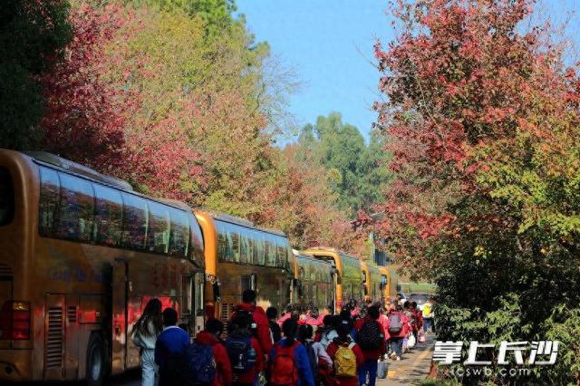 组图｜“小雪”来了，枫叶红了