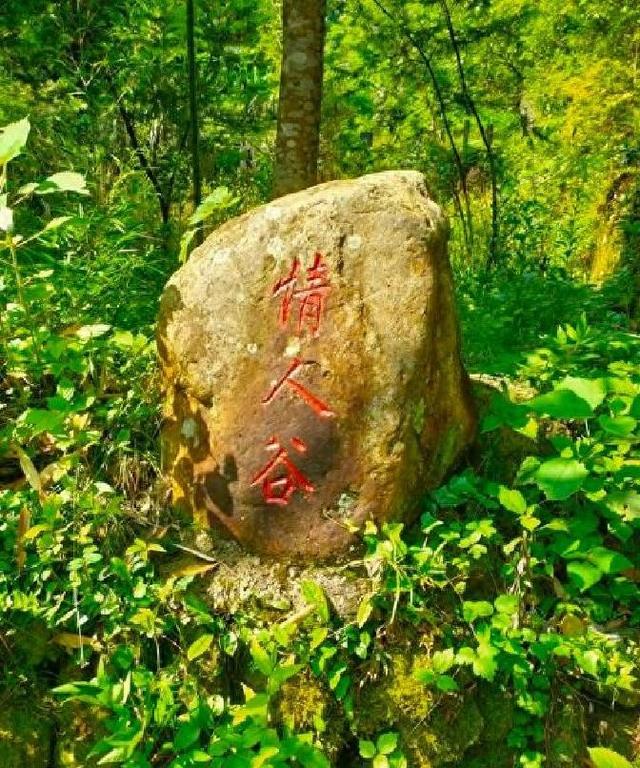 公园逃脱攻略（别再瞎逛啦火石寨国家地质公园一日游超详攻略）