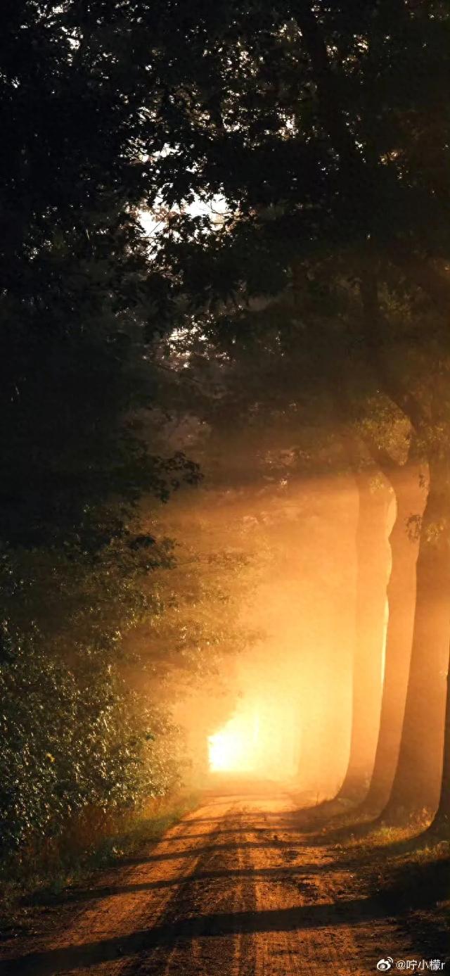 手机壁纸|阳光照进来的地方