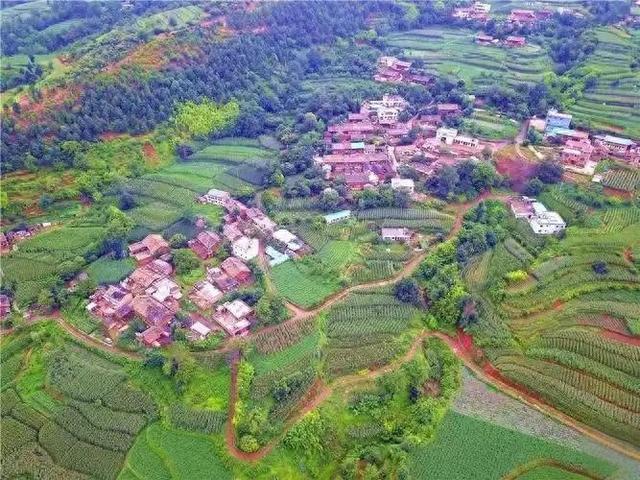 [云南 曲靖市会泽县大井镇]