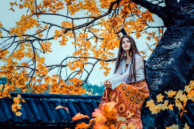 云南昆明最大的赏枫胜地，有6000余株枫树，红叶与古寺相映成趣