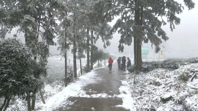 渠县迎今冬首场降雪 雾凇茶山共绘冰雪童话