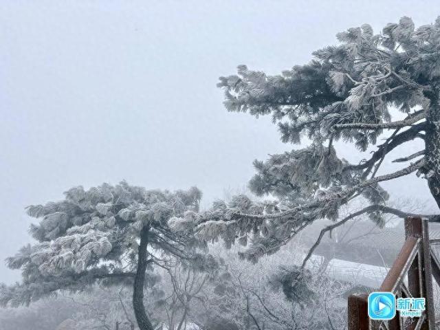 一眼心动！沂山再现雾凇奇观