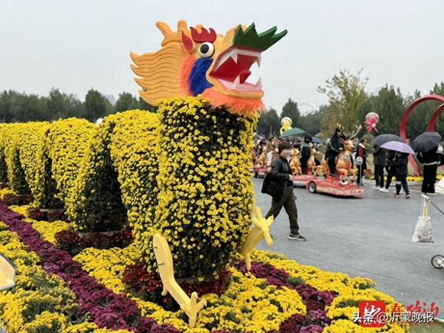 临沂河湾公园金秋赏花活动启幕 数万株地栽菊打造秋日盛景！