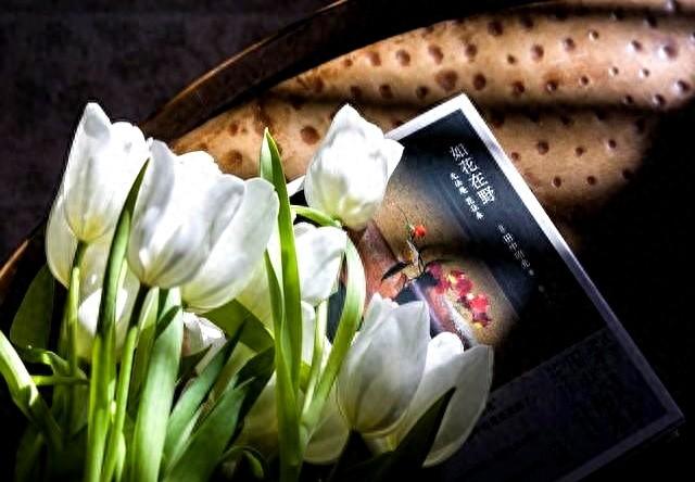 关于芳华的唯美句子大全（感慨岁月芳华的唯美句子）