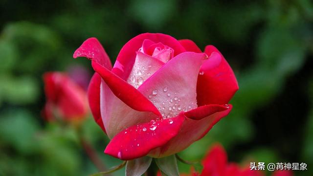 12月18日至12月24日，星期四，巨蟹，大事即将发生！