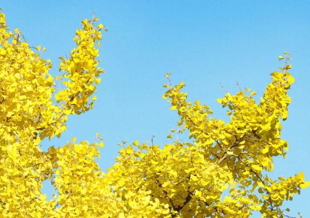 玩转贵安丨贵安初冬限定美景，给你“好看”！