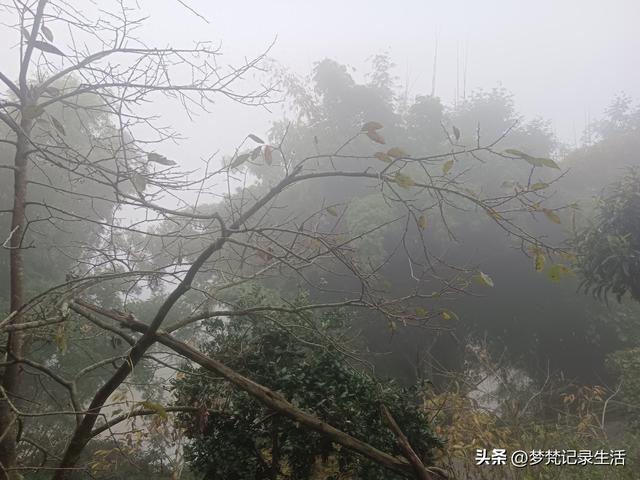 我妈安排的事是我支持的我就会满心欢喜地去做，不支持的就很反感