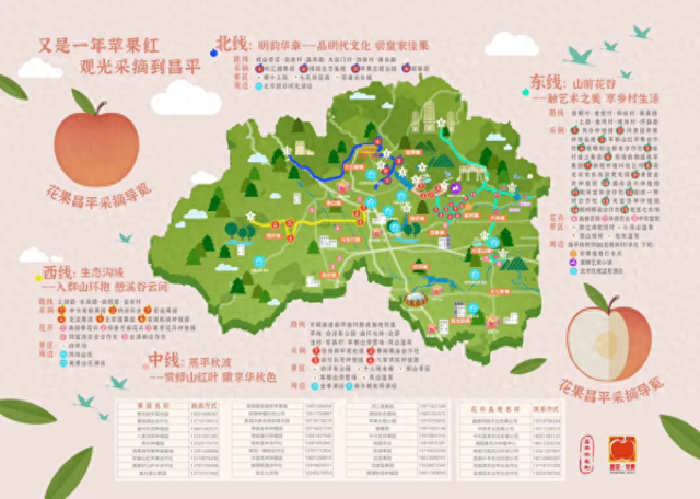 大美北京|万吨苹果成熟正当时  北京昌平发布4条苹果采摘路线