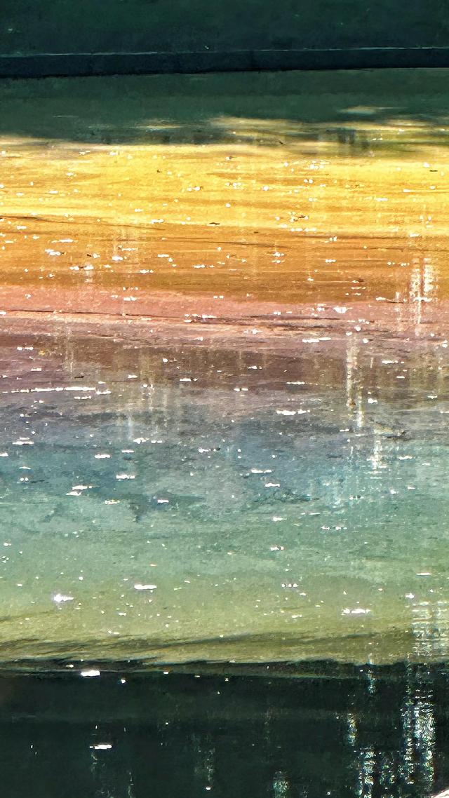 这就是南京秋天的海 ​