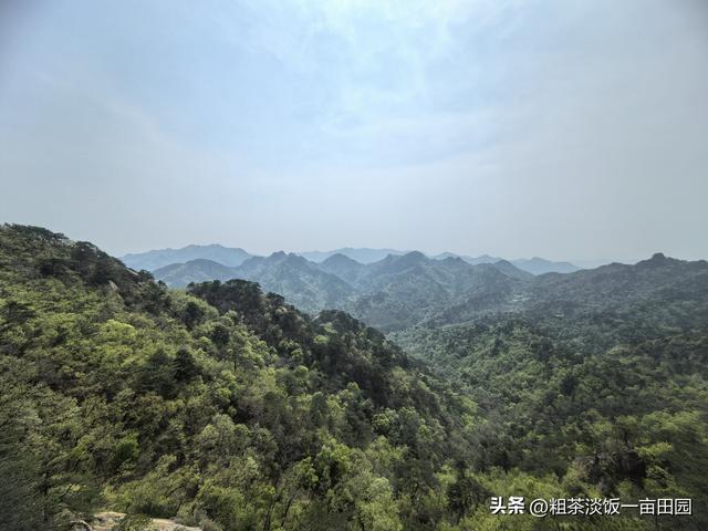 来北京一周后要去日本	，咱出了一张明牌，李在明乐了，高市懵圈了